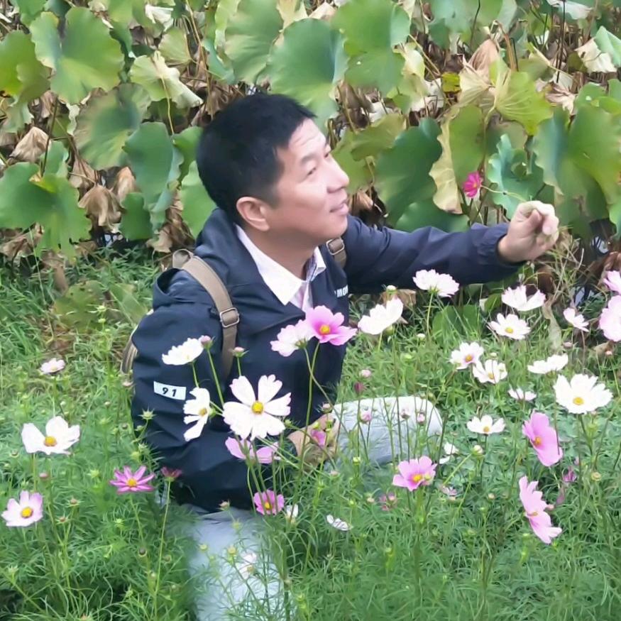 ⭐️帅帅狐