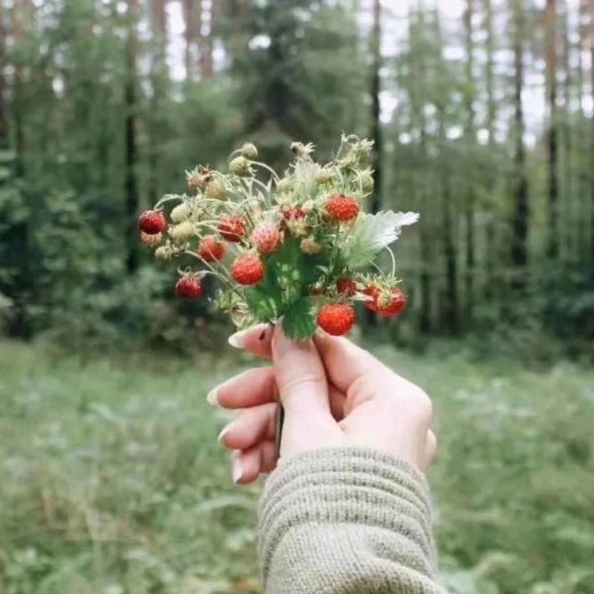 小月亮带货达人