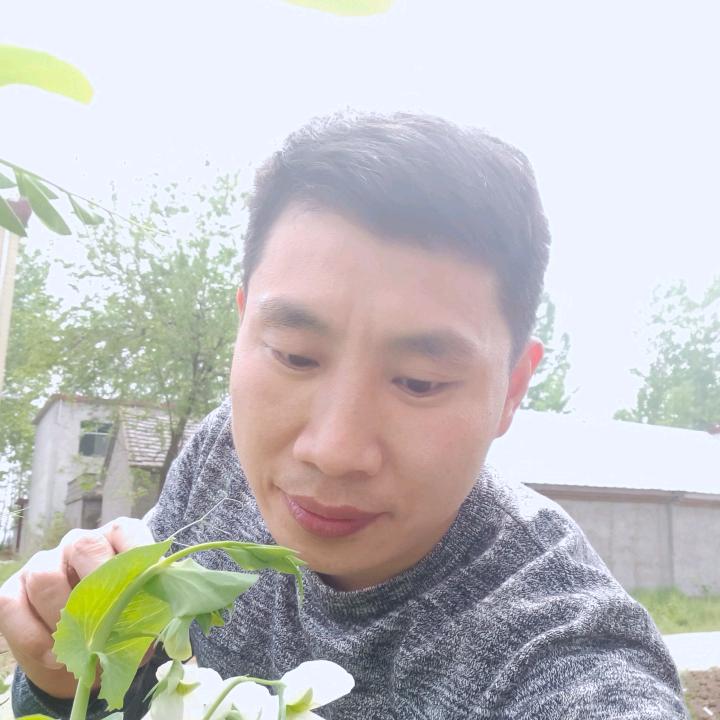 成哥