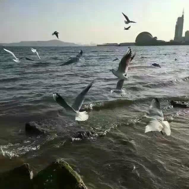静姐