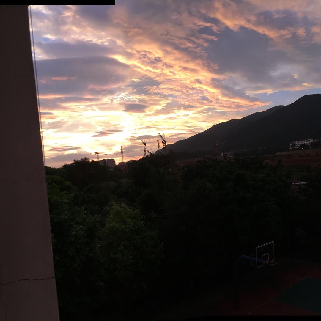 嘟嘟1