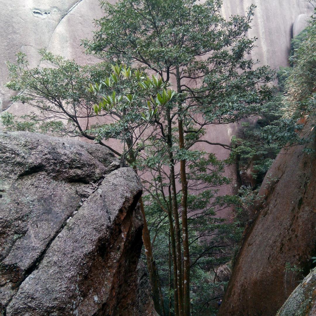 暖暖的幸福🌹🌹🌹