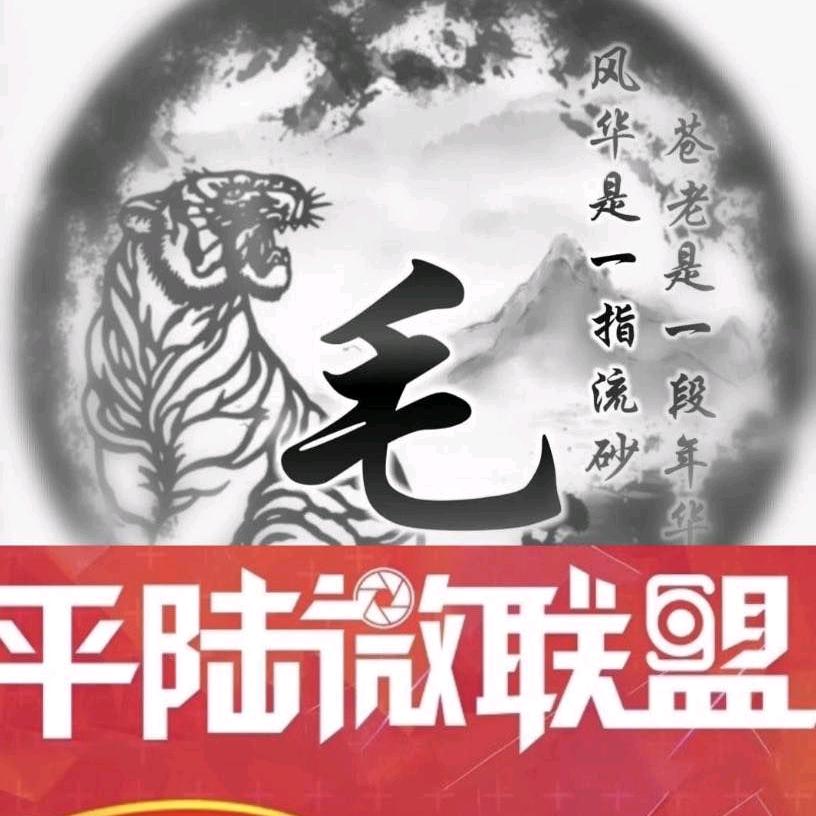 平陆微联盟（毛朝）