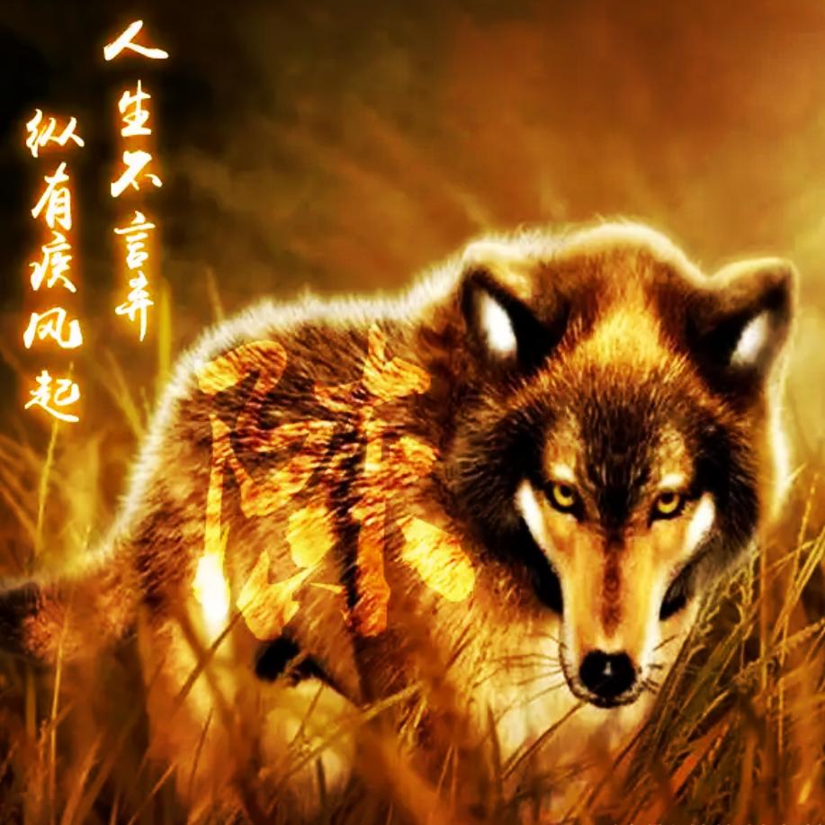 元元