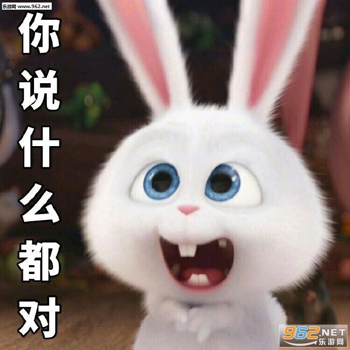 感受
