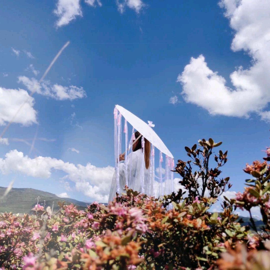 不要再来伤害我