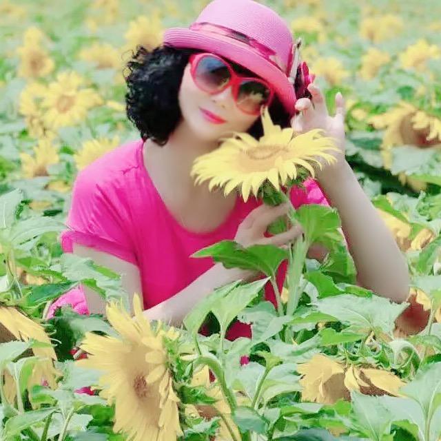 荷花摇曳