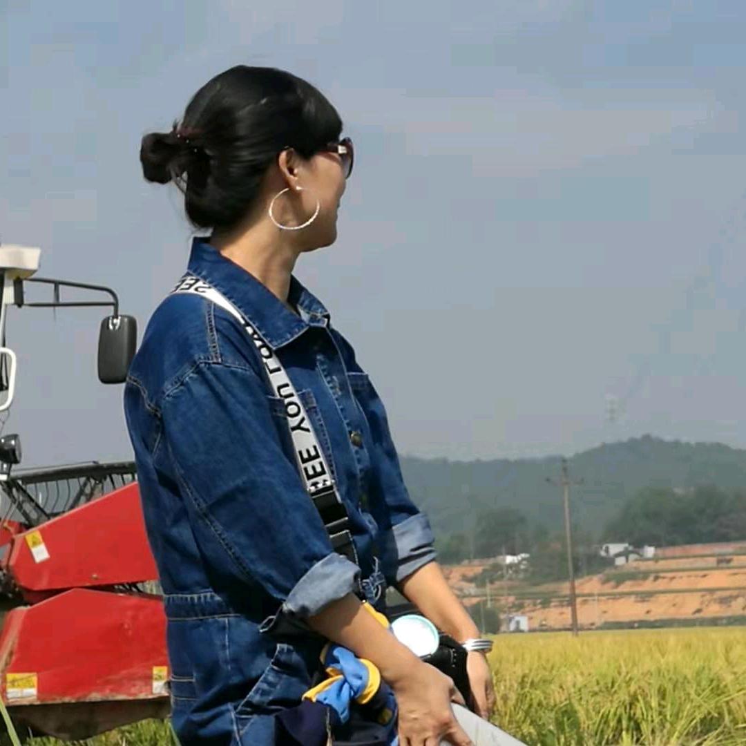 兰兰