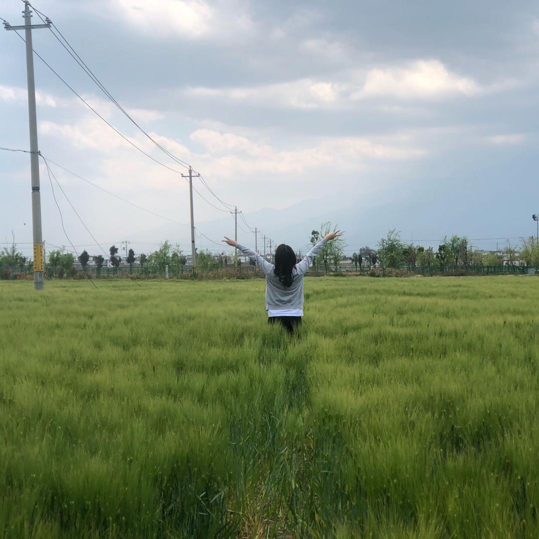🌸 Y～W～W🌸