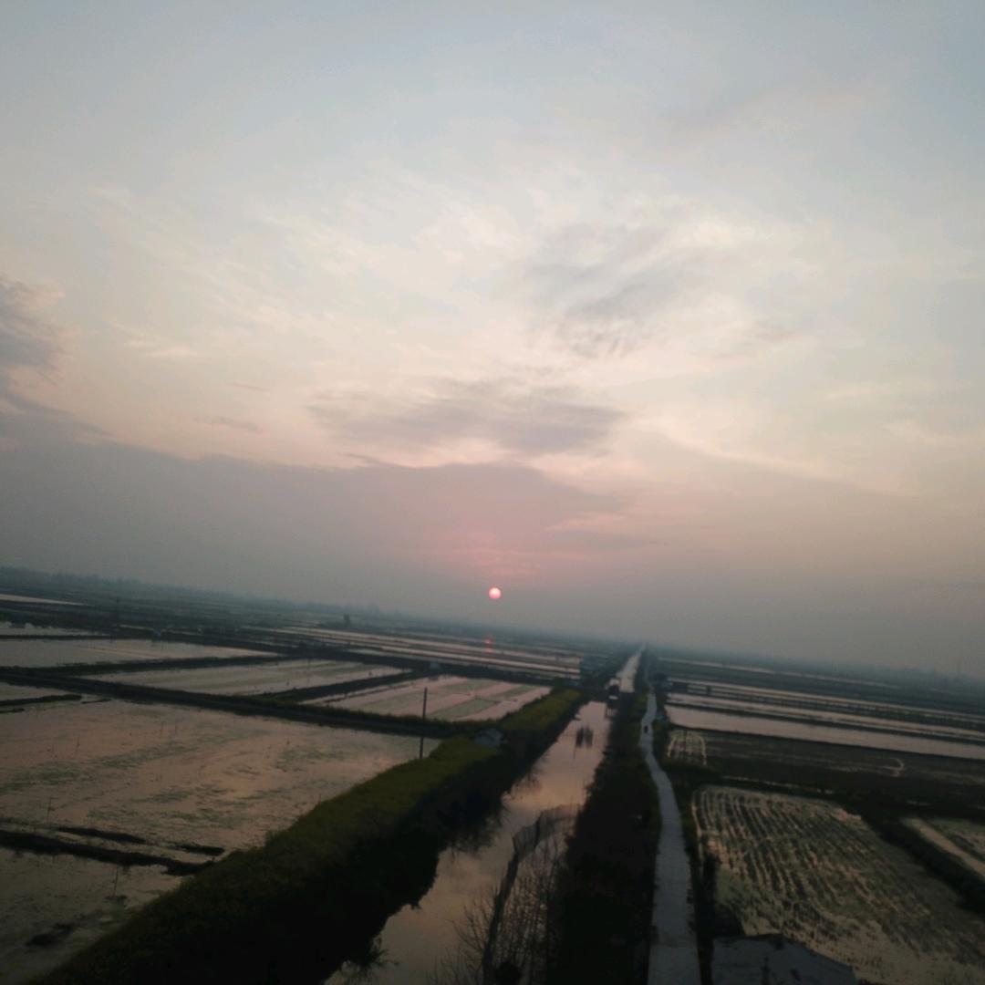 李小广