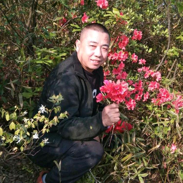 汪哥