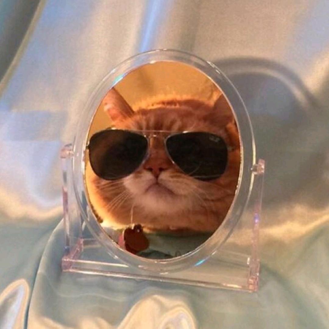 雨生Ai笔记分享