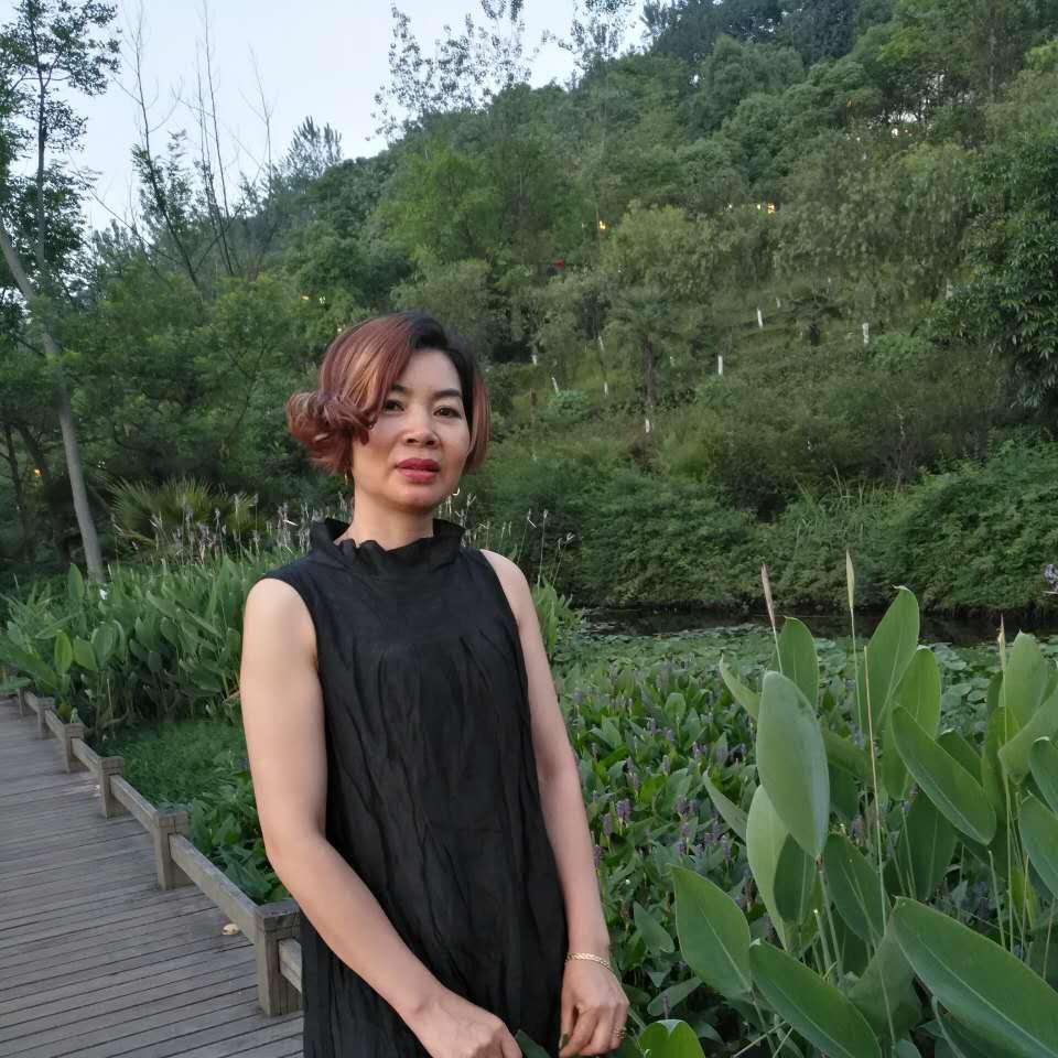 梦菊