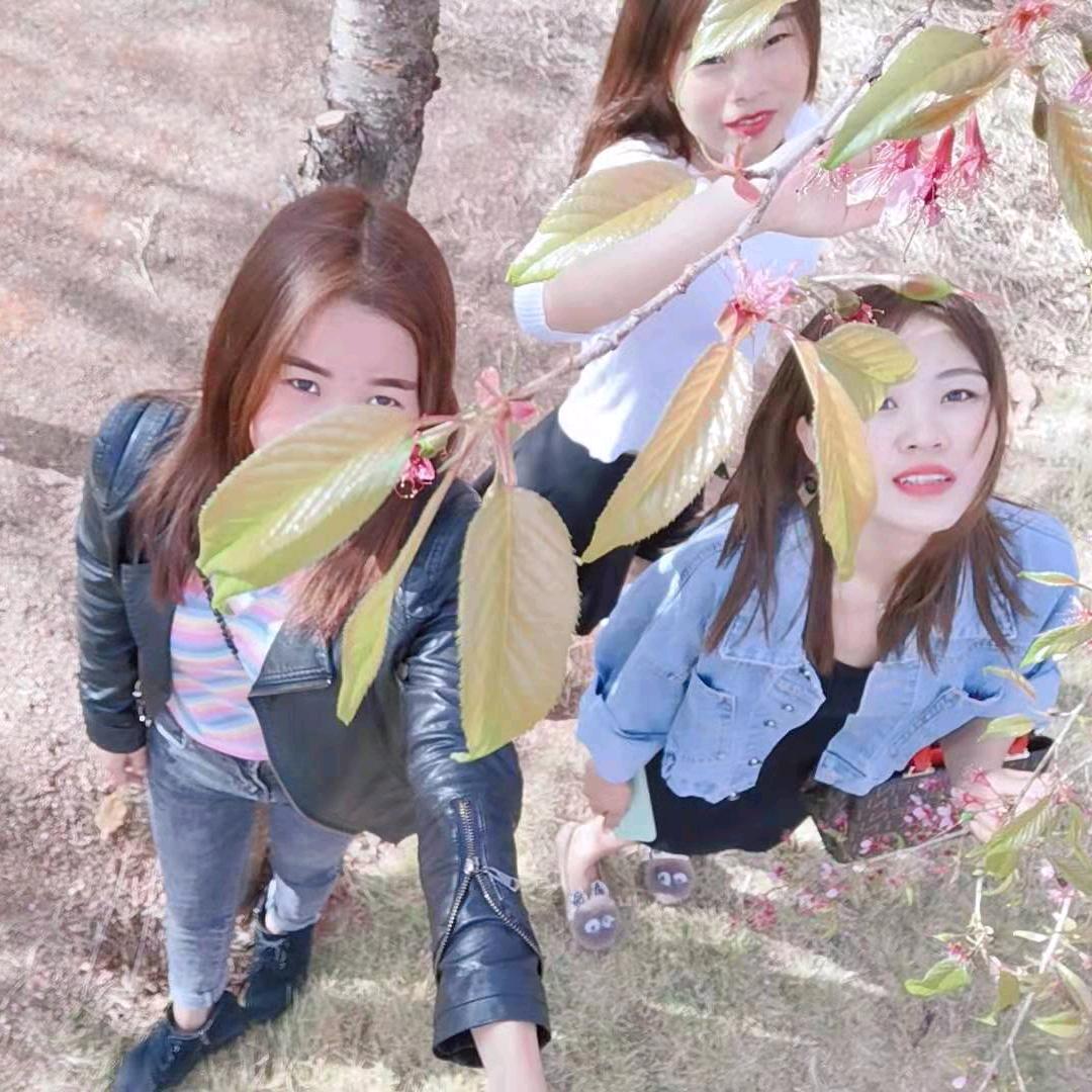 ༊ღ᭄过往云烟:)