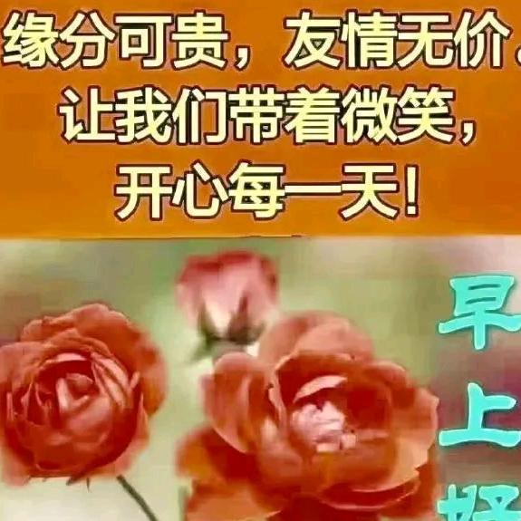 一生情愿