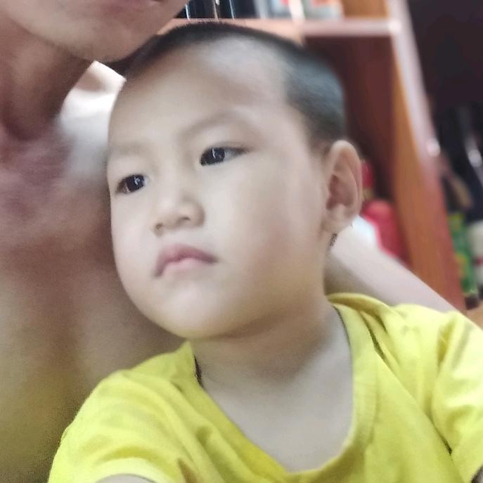 狼