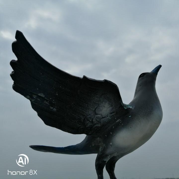 💞浪迹天涯💞