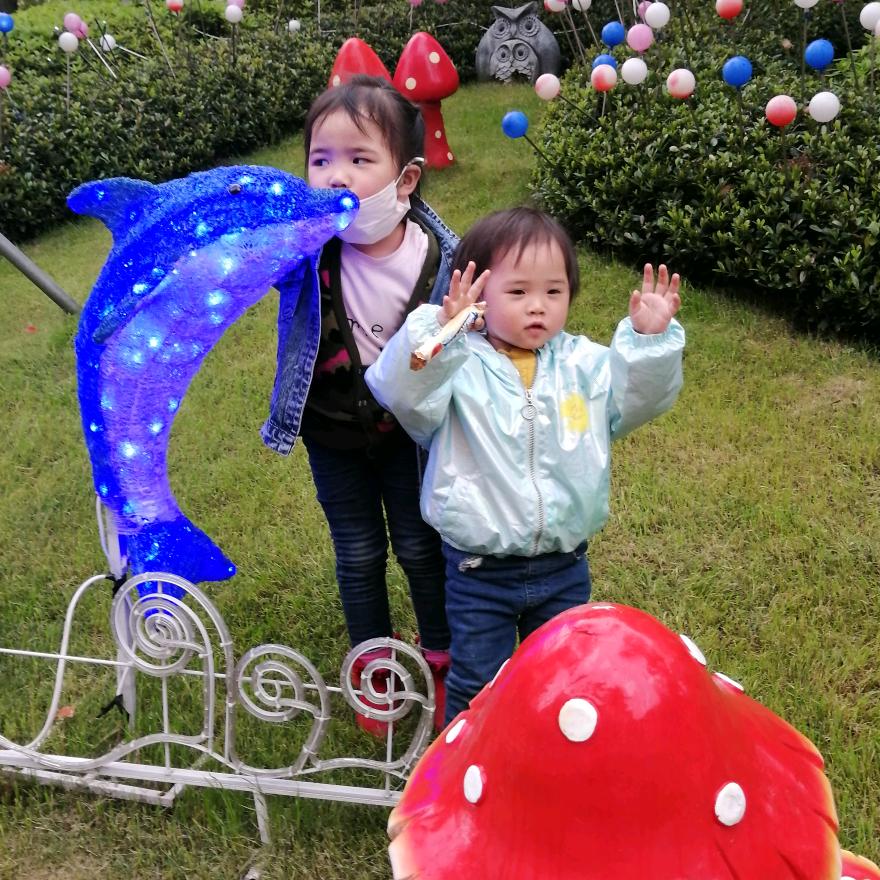鲤鱼🐠