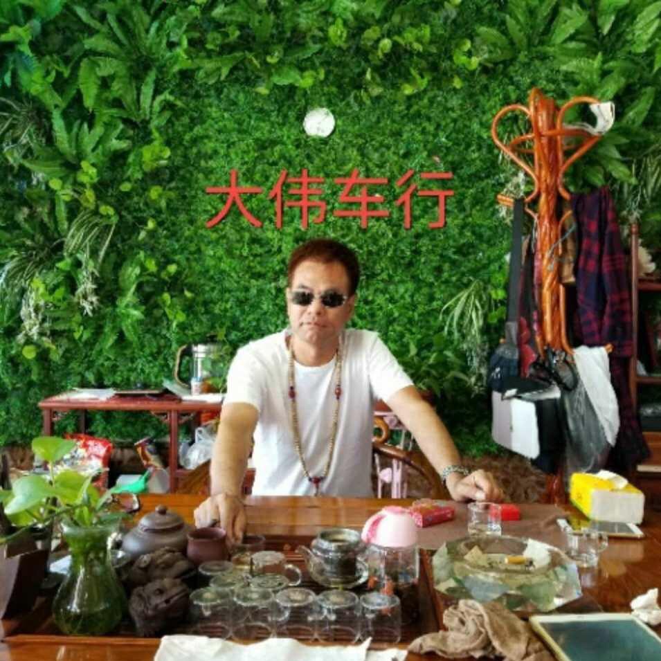 南阳大伟车行