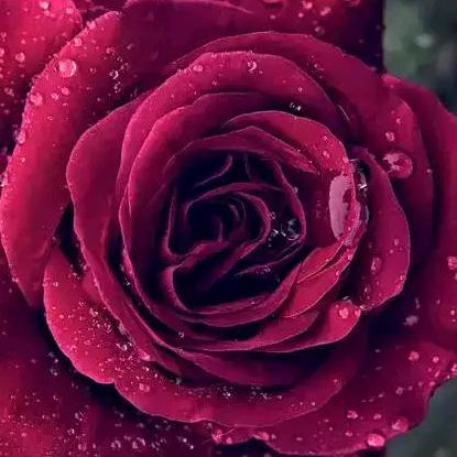 🥀ღ꯭᭄小草🥀ღ꯭᭄