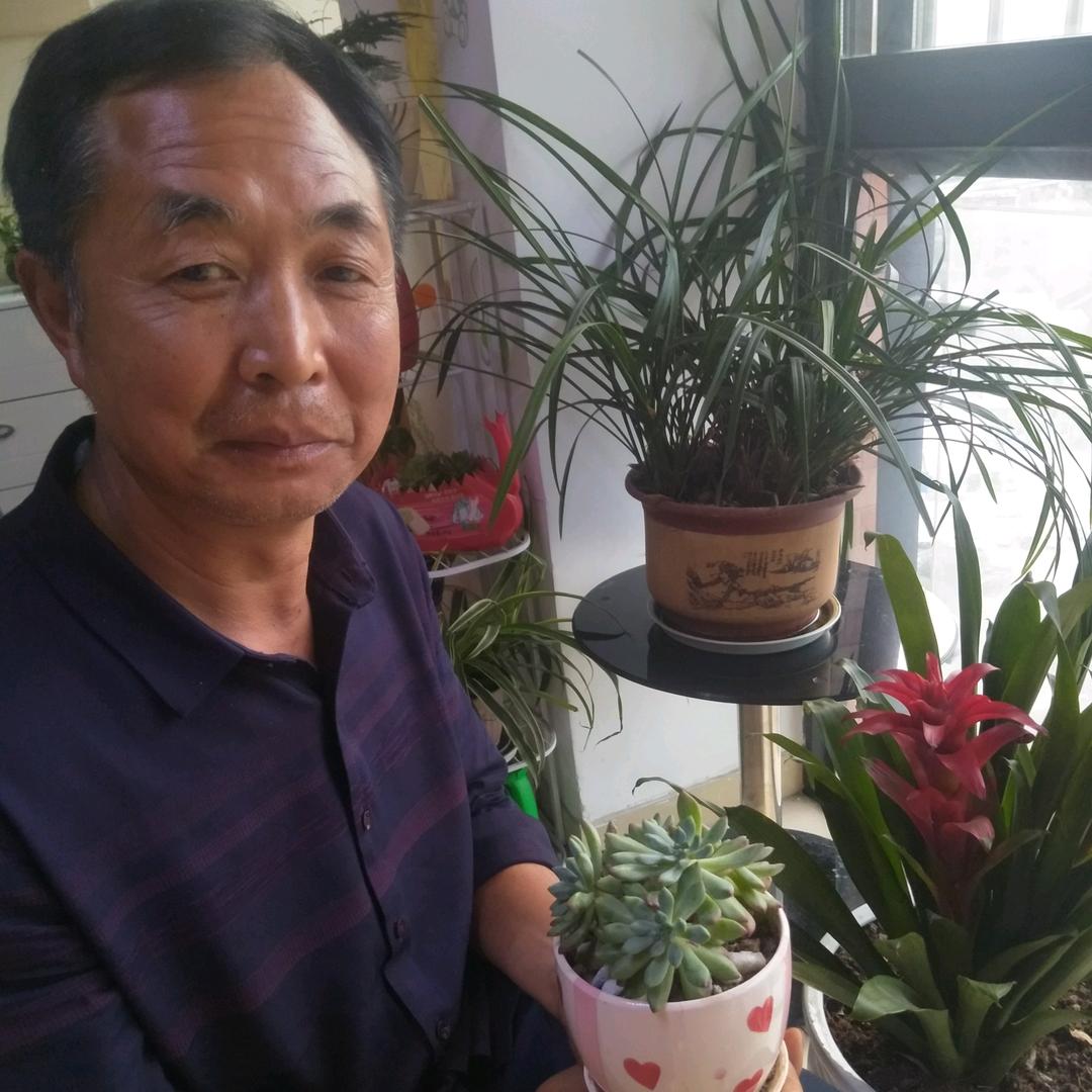 事事如意