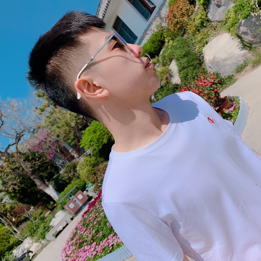 👑鹏哥