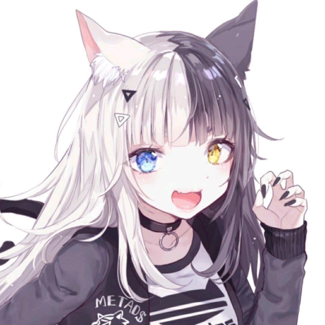 小灰灰抓喜羊羊