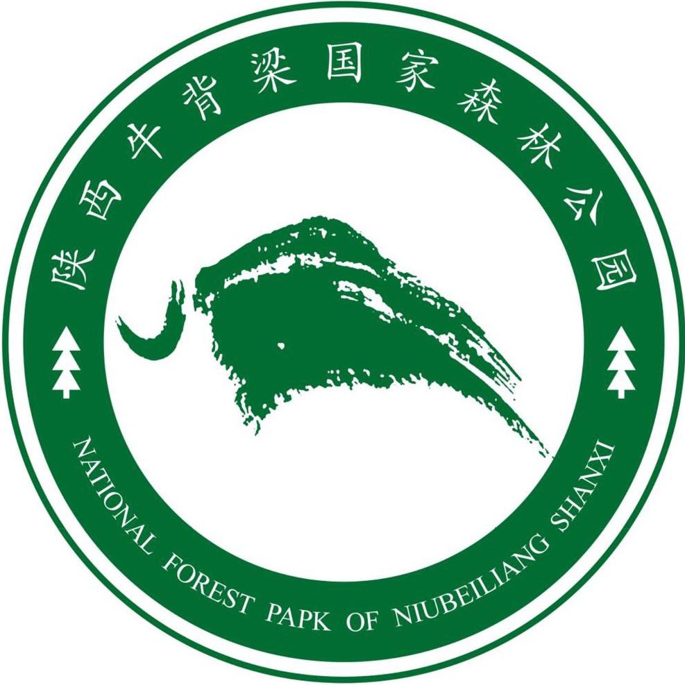 陕西牛背梁国家森林公园