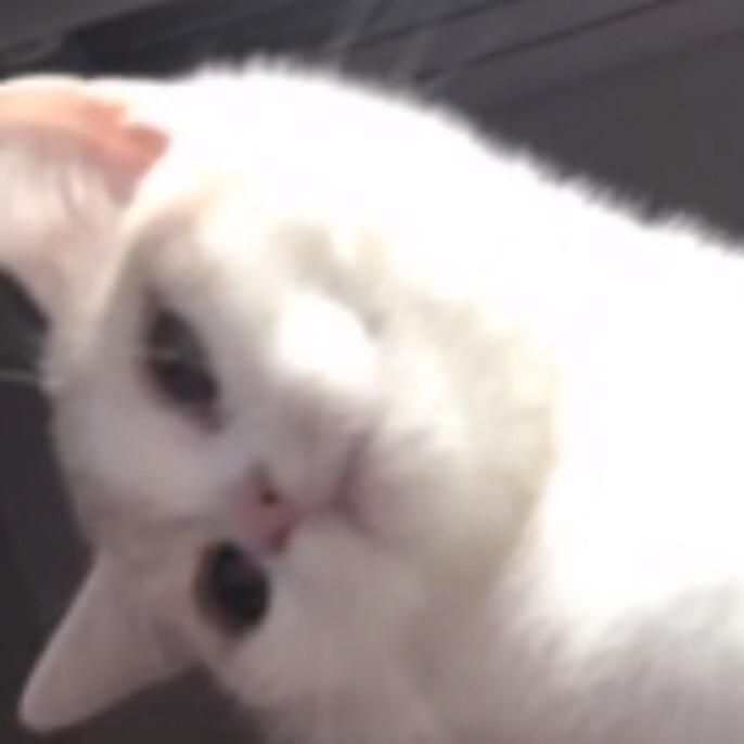 辰西