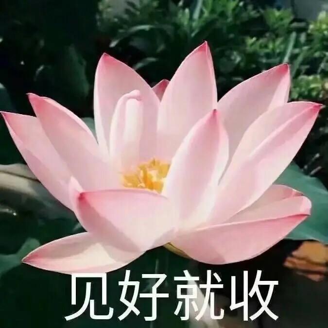 山河故里.