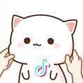 猪猪侠