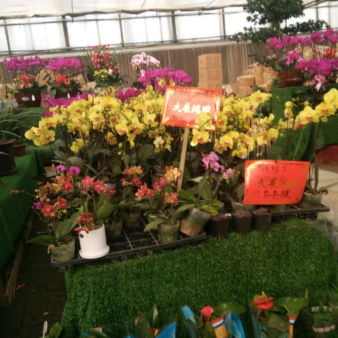 岁月静好，只因有你