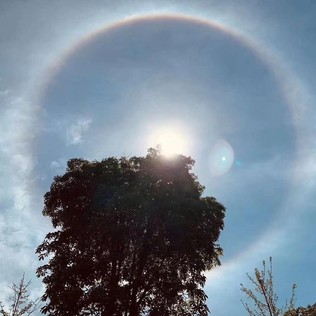 酒亿少女的梦88