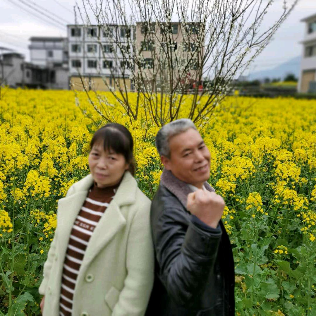 冯立红
