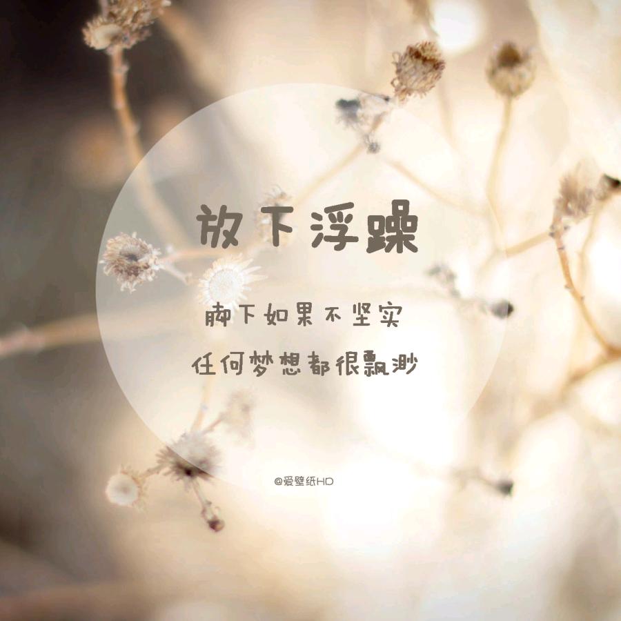 小安树