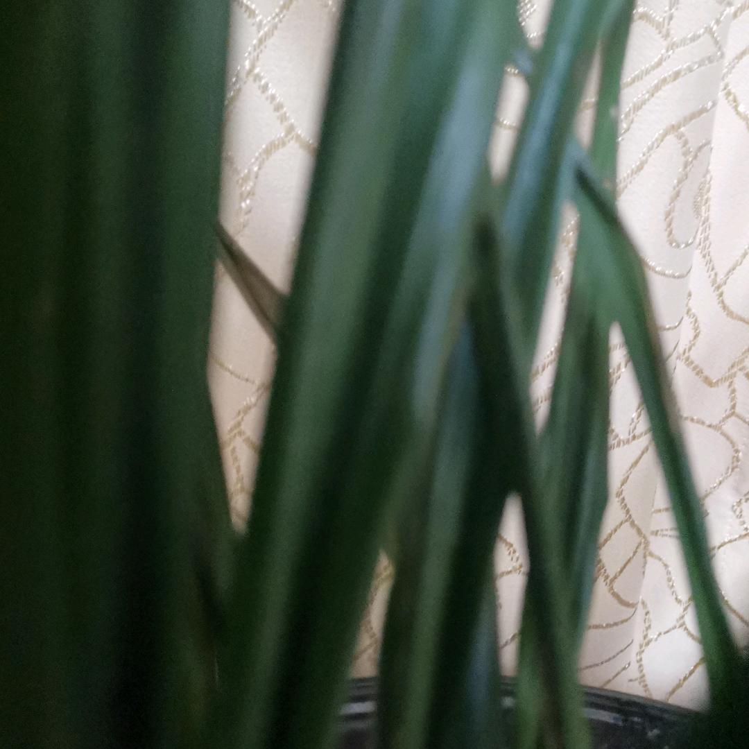 一笑聊知