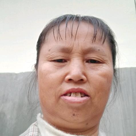 明鲜