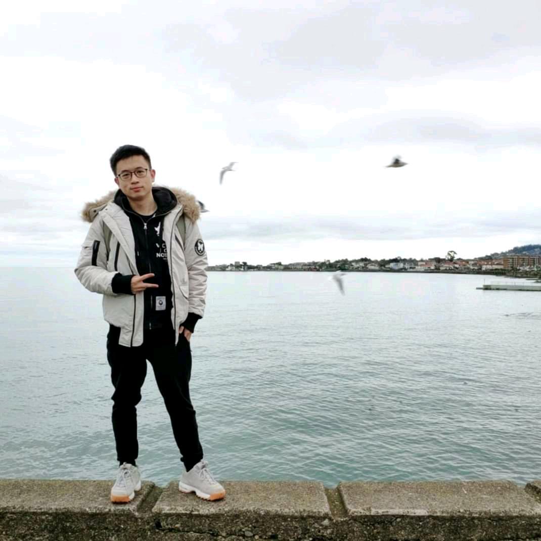 Rocky 在爱尔兰(回国临床转化制药版