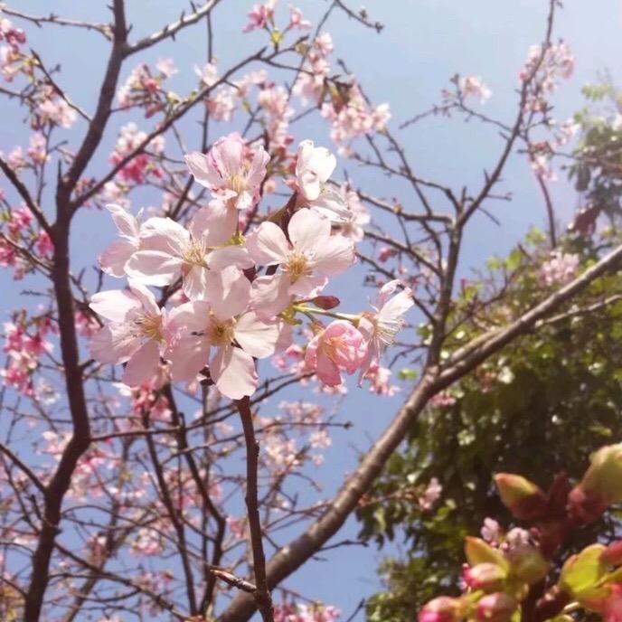 一生平安