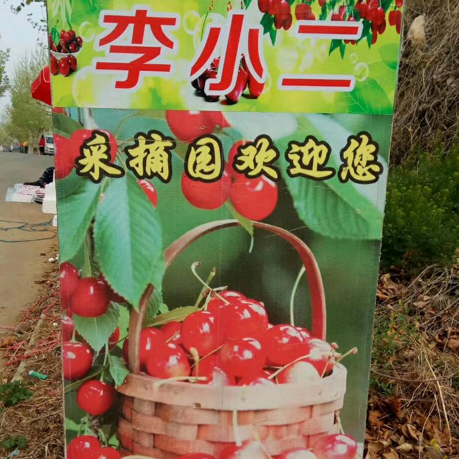 小二哥水带（李小二大樱桃）