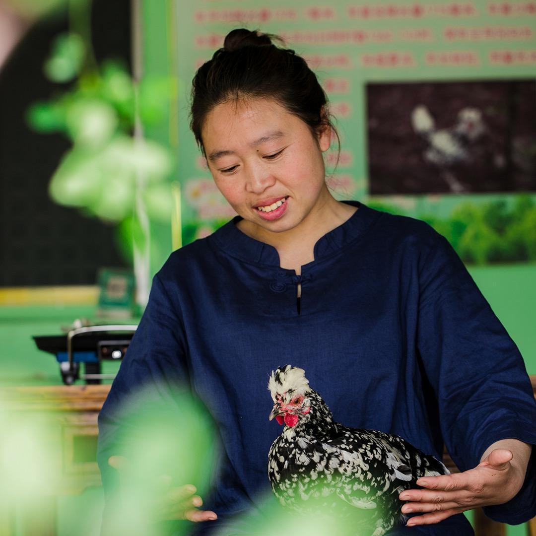 大山里的杨贵妃