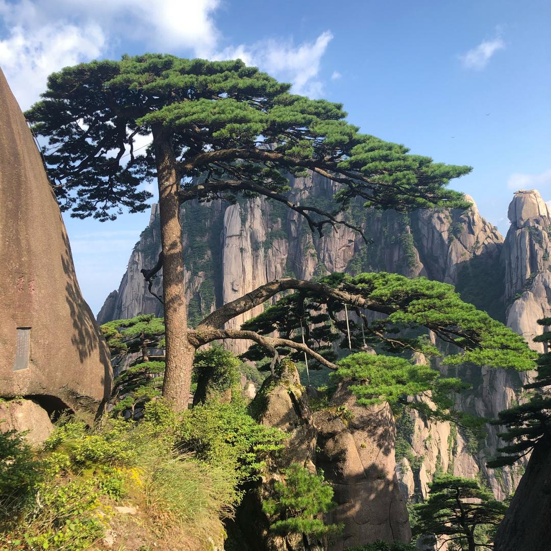 穷苦老百姓