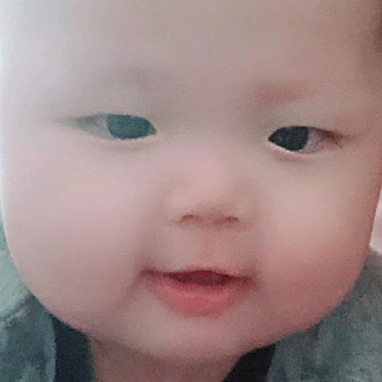 韬仔仔
