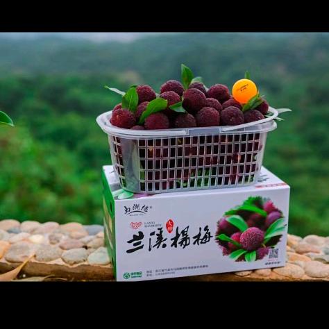 七星山名果庄园