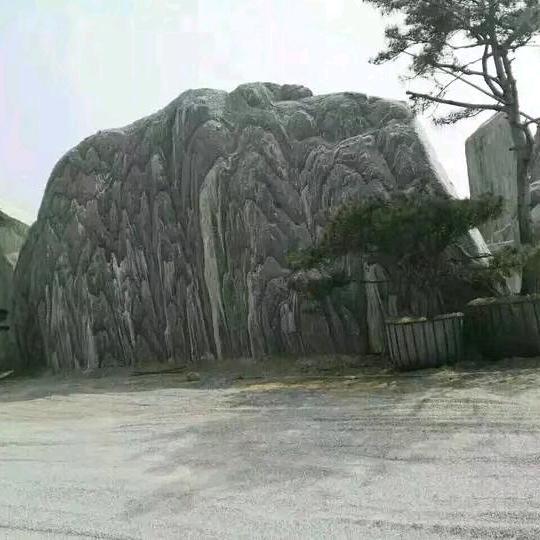 杨立奎