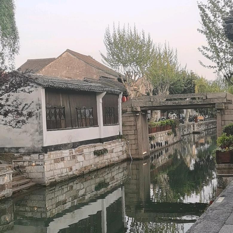 🦧比尔盖土🦅