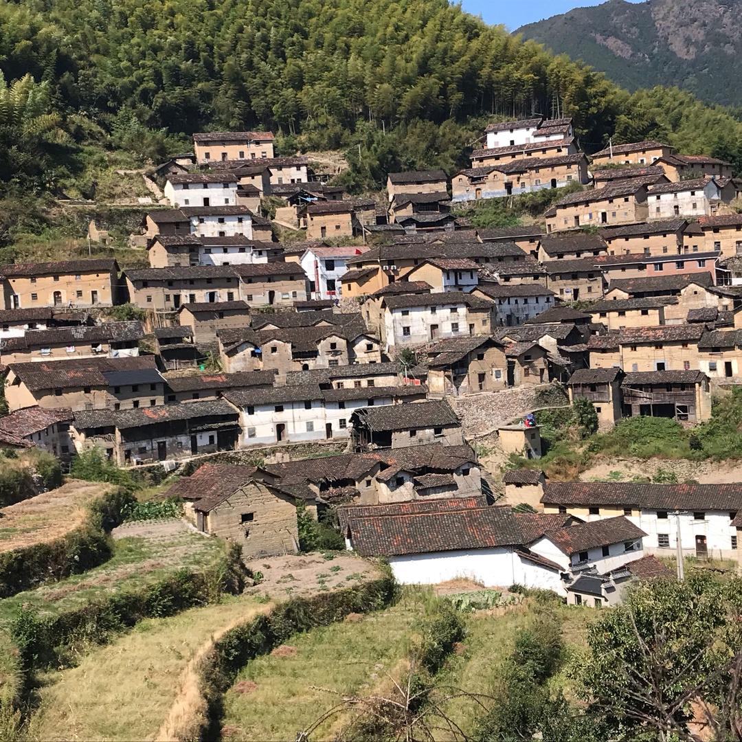 亮哥