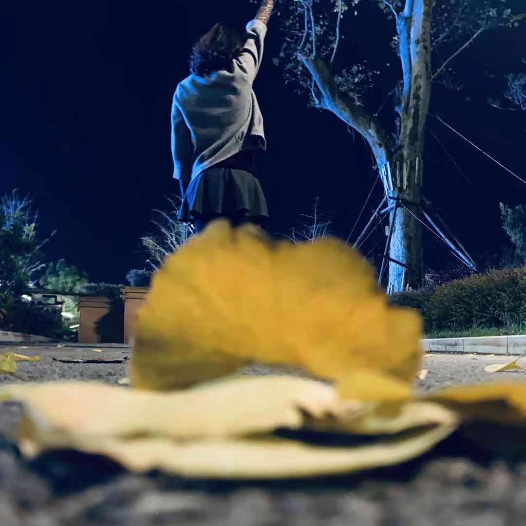 小何同学