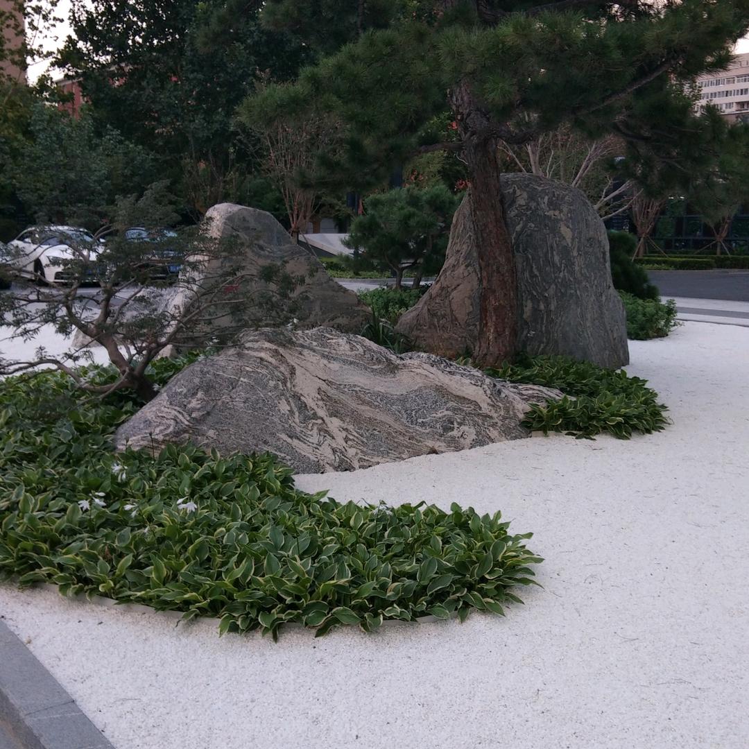 大约在冬季