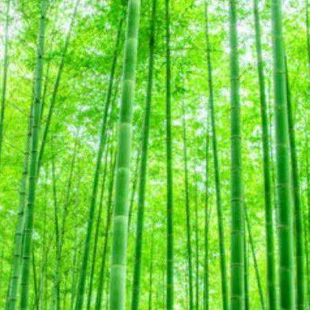 我姓吳 卻捂不住對你的愛
